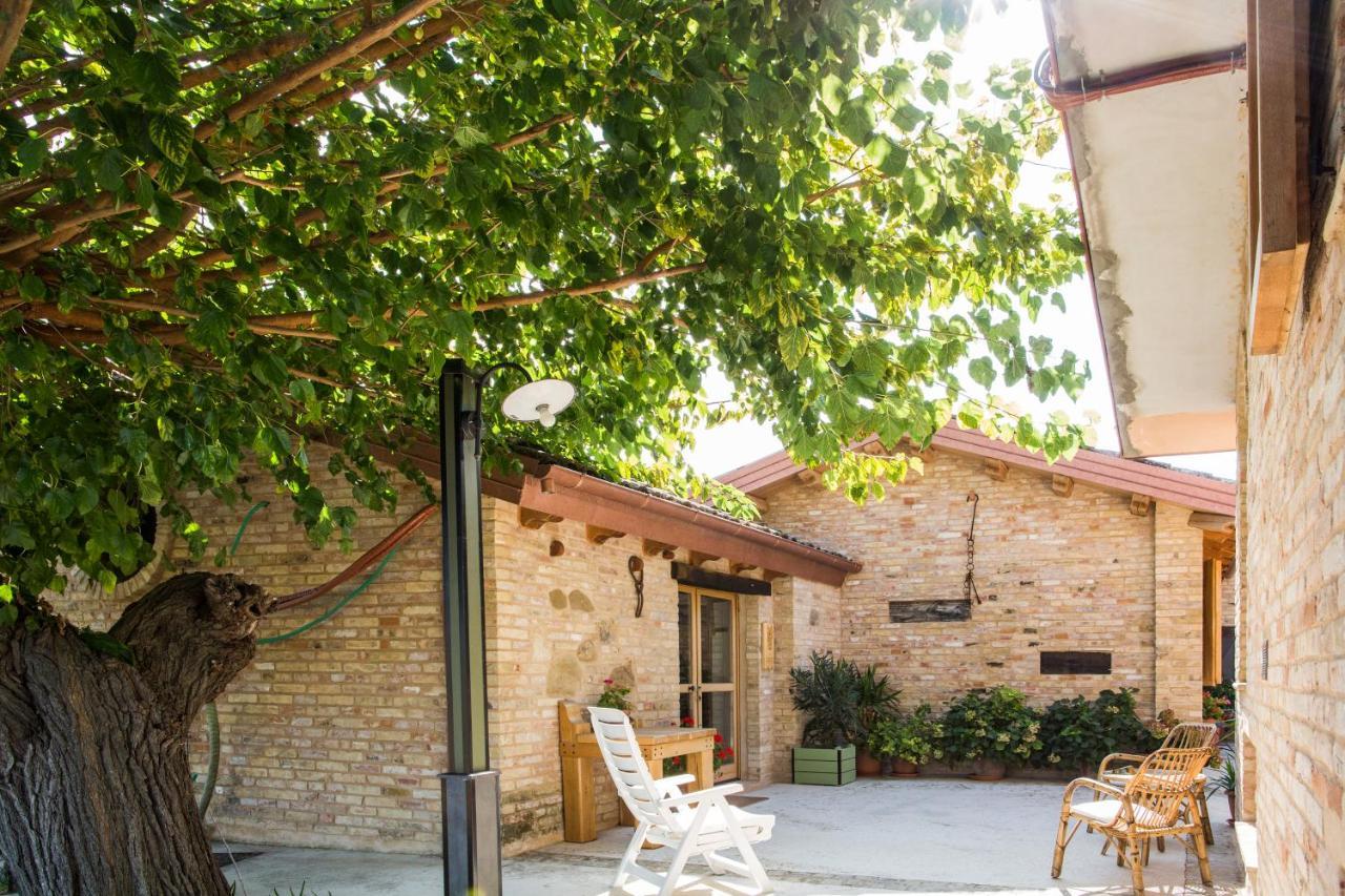 B&B Il Cavallino Civitanova Alta Exteriér fotografie