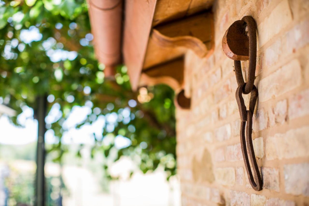 B&B Il Cavallino Civitanova Alta Exteriér fotografie