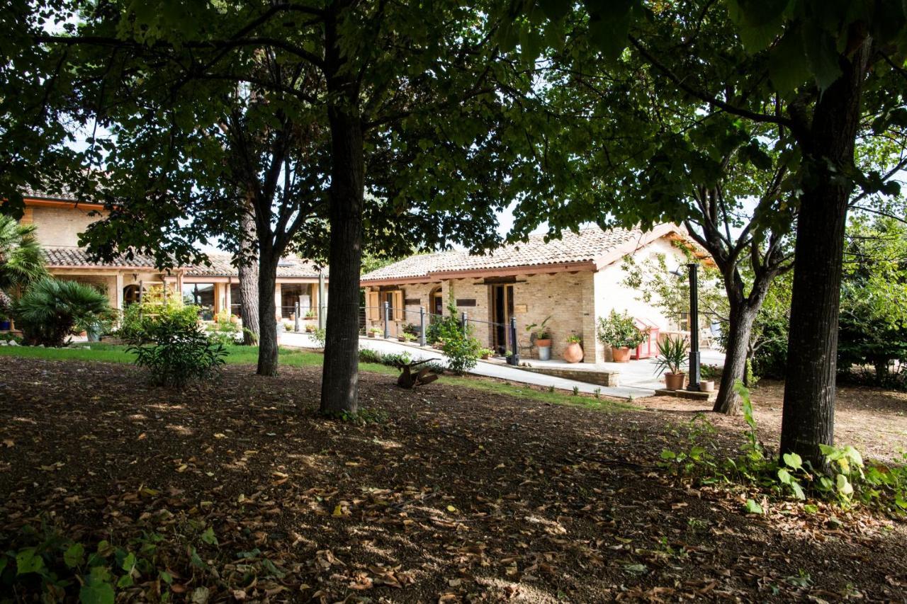 B&B Il Cavallino Civitanova Alta Exteriér fotografie