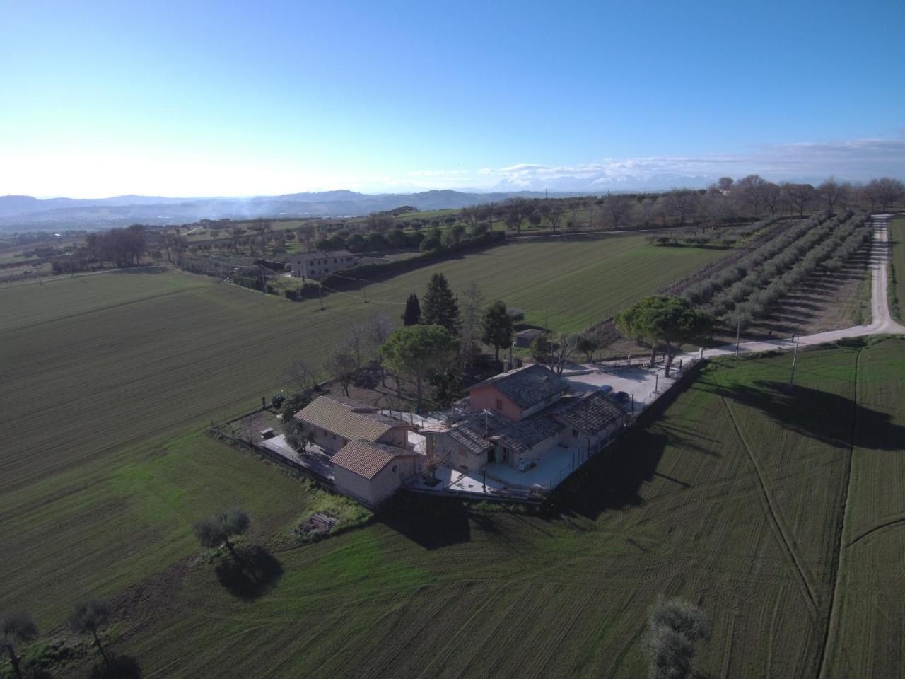 B&B Il Cavallino Civitanova Alta Exteriér fotografie