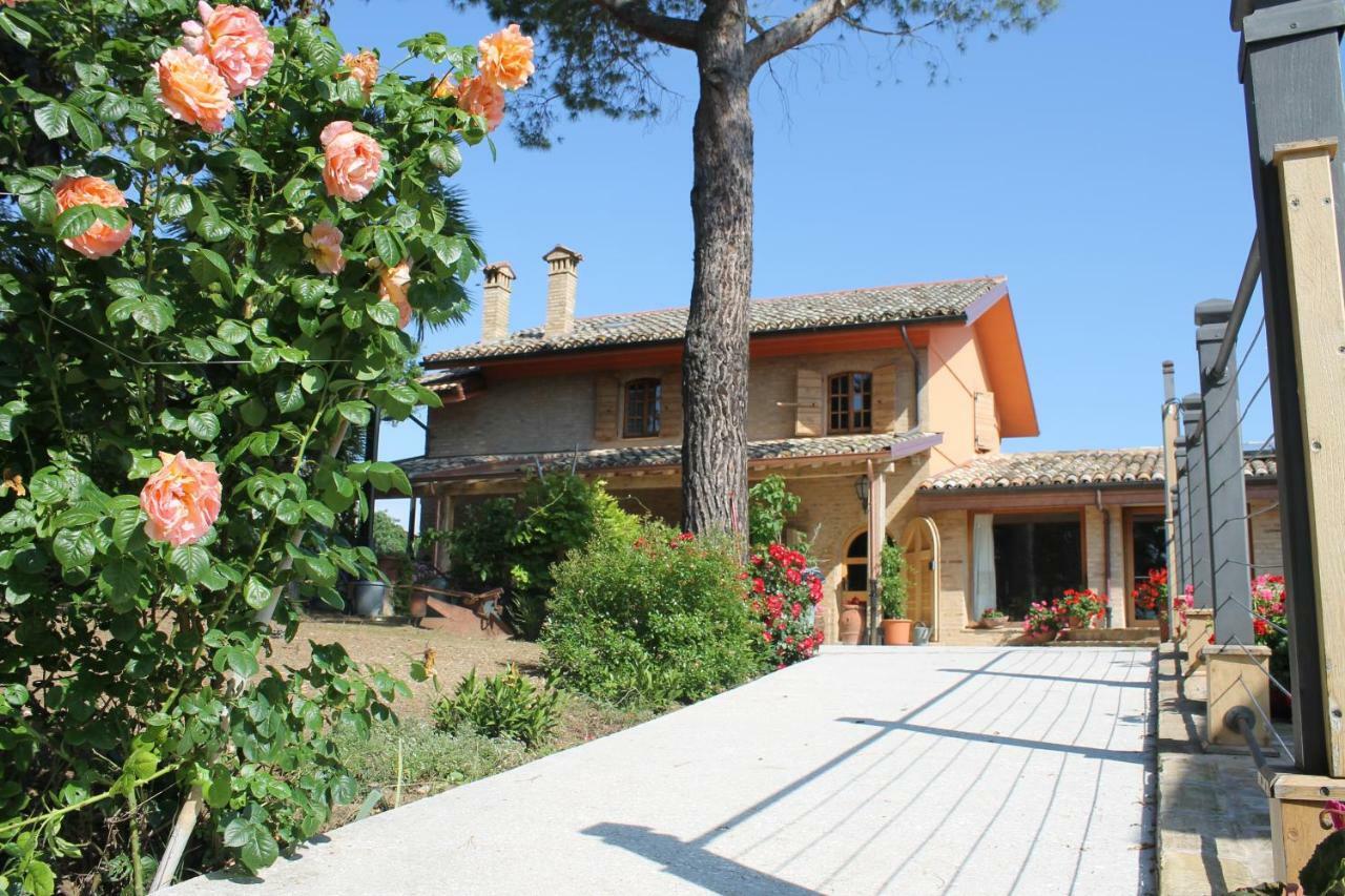 B&B Il Cavallino Civitanova Alta Exteriér fotografie