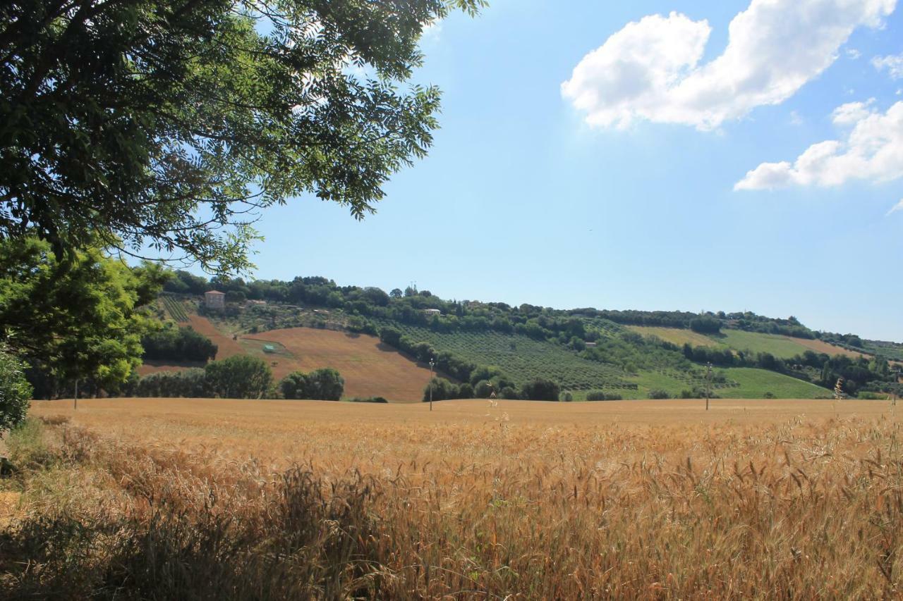 B&B Il Cavallino Civitanova Alta Exteriér fotografie